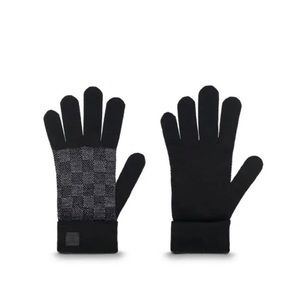 Louis Vuitton Gloves (One size)